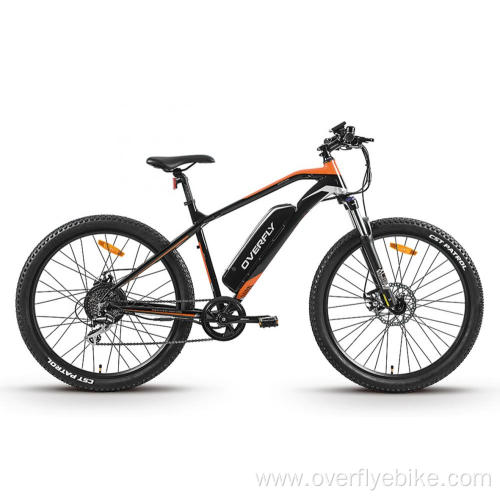 XY-Sportsman eMTB with stable performance